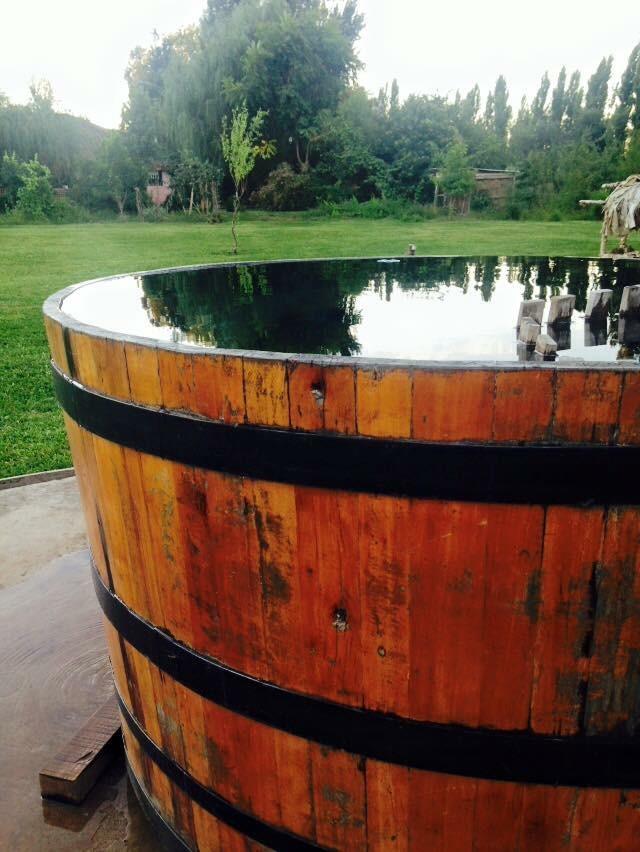 De Campo * Colbun