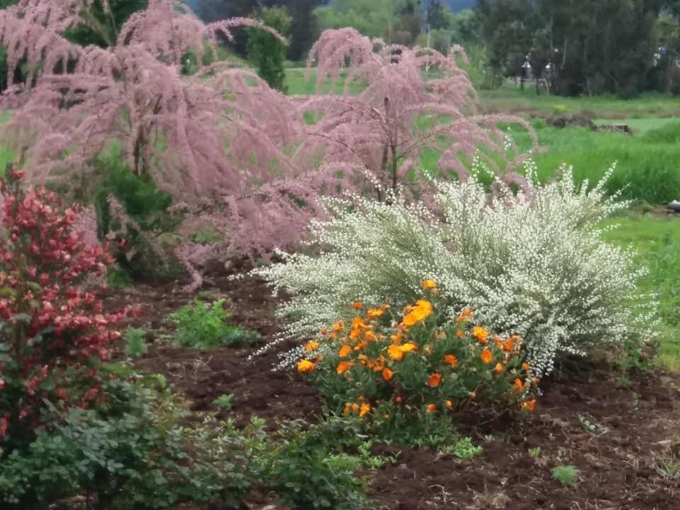 De Campo